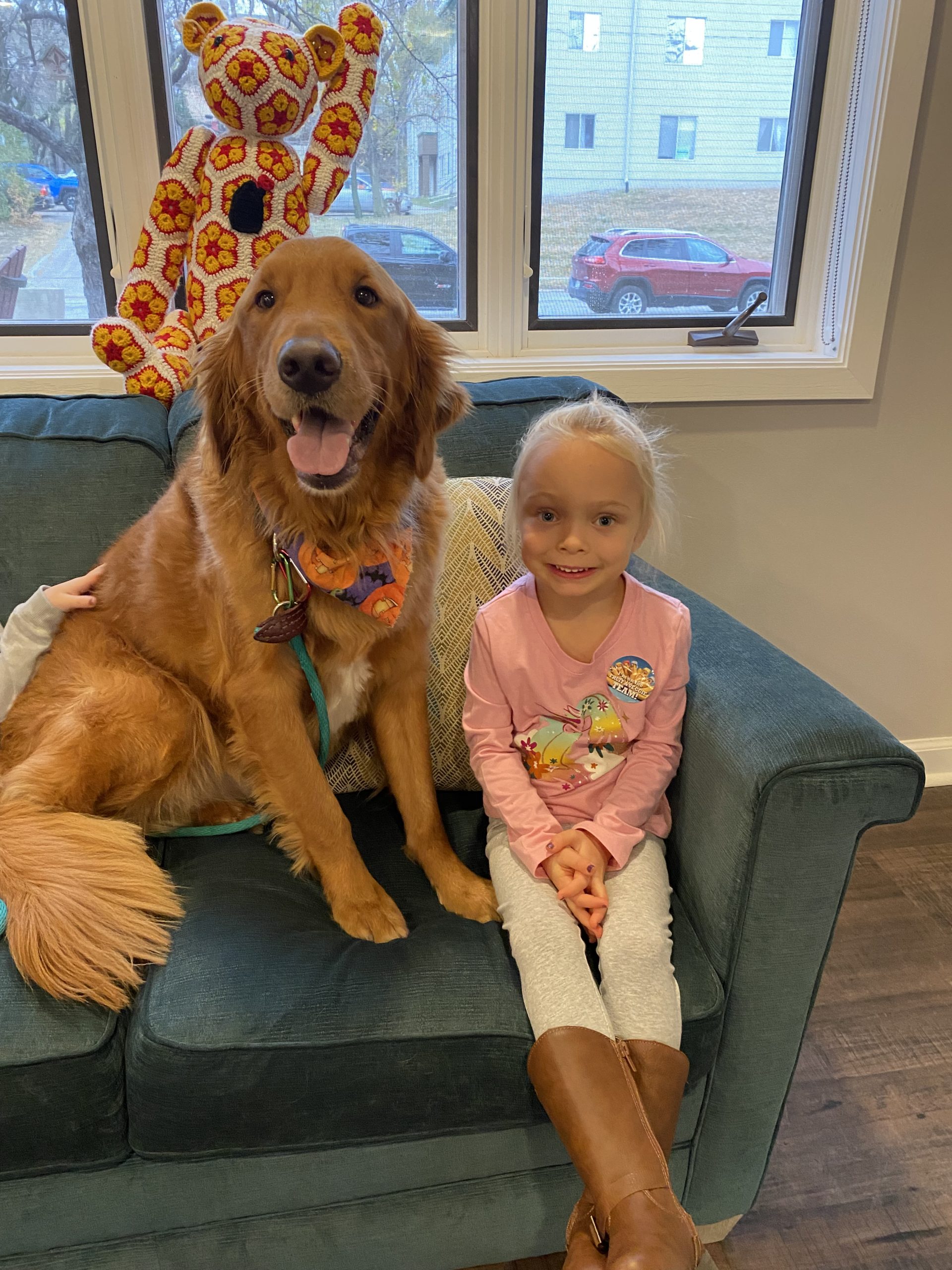 Ralphie the golden retriever sits on a couch with Remi